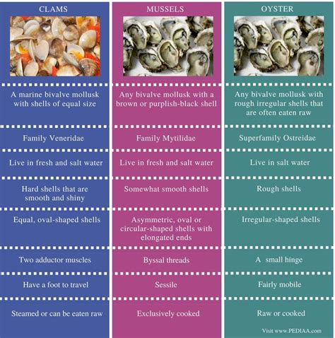 Difference Between Clams Mussels and Oysters - Comparison Summary (2 ...