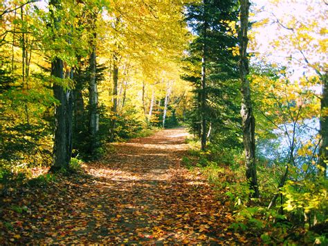 Algonquin Park- Old Railway Bike Trail | Been | Algonquin park, Bike ...