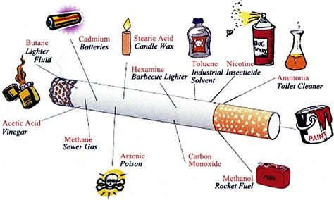 Essay about ingredients in cigarettes