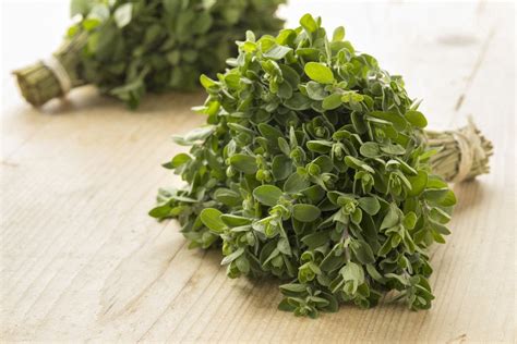 What Is Marjoram? Learn How to Cook With Marjoram, Plus 7 Marjoram ...