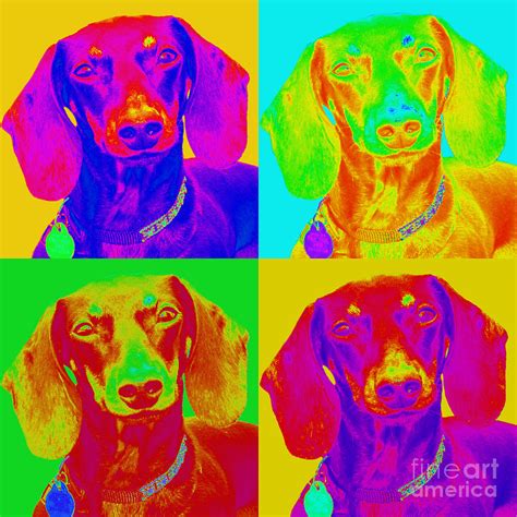 Pop Art Dachshund Digital Art by Renae Crevalle - Fine Art America