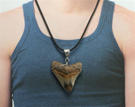 Megalodon Shark Tooth Necklace 7288