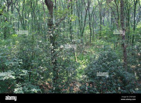 Ming Xiaoling (Emperor Hongwu Tomb), Mound of Underground Palace (Unexcavated), Burial site of ...