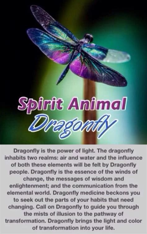 Dragonfly Spirit Guide | Dragonfly symbolism, Dragonfly quotes, Dragonfly