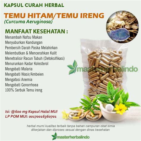 Jual TEMU HITAM IRENG 100 Kapsul Herbal Kesuburan Gonorrhoea Kurap Cacingan | Shopee Indonesia