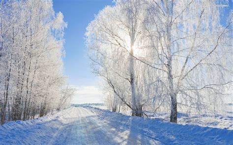 Sunny winter day - White snow on the road