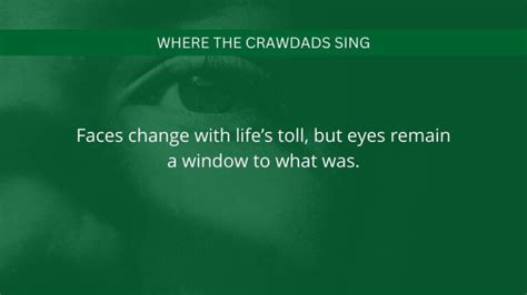 10 Best Where The Crawdads Sing Quotes Images from the Book