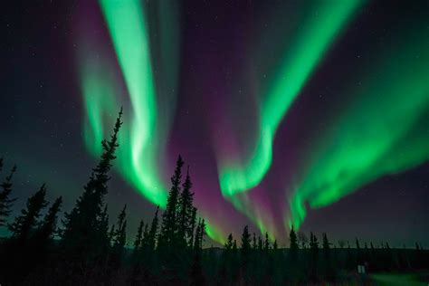 Alaska Northern Lights Tours | Travel Alaska