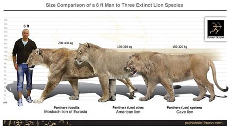 Prehistoric Lions