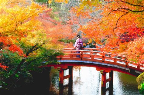 Understanding the Climate, Seasons, and Weather in Japan - JAPAN AIRLINES (JAL)