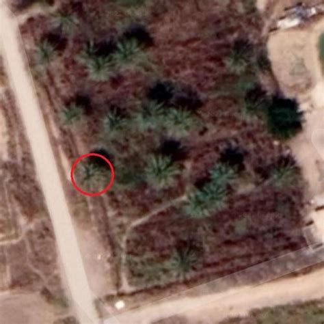 Saddam Hussein Capture Site in Ad-Dawr, Iraq - Virtual Globetrotting