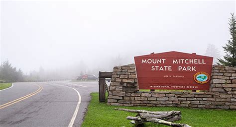 Mt. Mitchell: A beginner’s guide to its history, trails, camping, and more