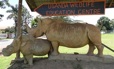 Enjoy the Entebbe city tour adventure on your safari Uganda - Uganda Safari News