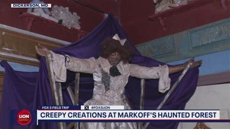 New thrills and scares at Markoff’s Haunted Forest | news.com.au — Australia’s leading news site