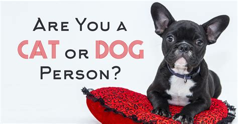 Are You A Cat Or Dog Person? - Quiz - Quizony.com