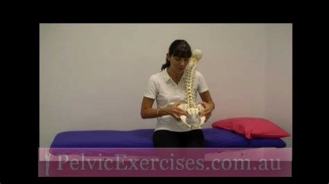 How to Strengthen and Stabilise Your Pelvis - Pelvic Stability Exercises - YouTube