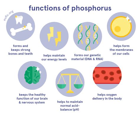 Can Phosphorus improve your teeth and bones health?