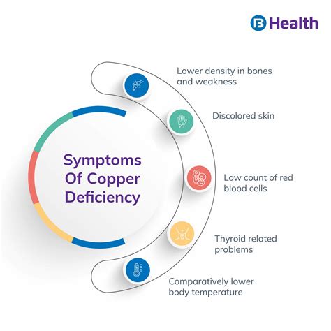 Copper deficiency symptoms and effects of excessive copper – Artofit