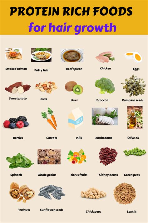 Protein rich foods for hair growth | Healthy recipes, Healthy hair food, Protein rich foods