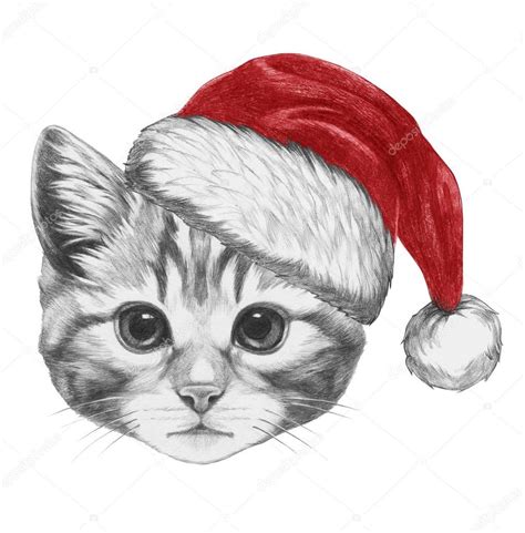 Portrait of Cat with Santa Hat — Stock ... Stock Photography, Portrait ...