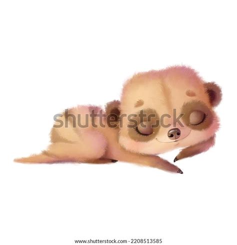 6 Cartoon Meerkat Sleeping Images, Stock Photos & Vectors | Shutterstock