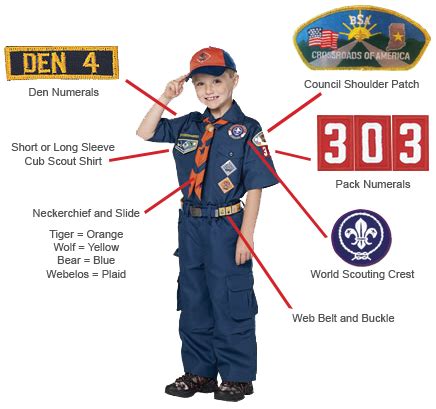 cub scout wolf badge placement - wheretobuystartracexercisebike