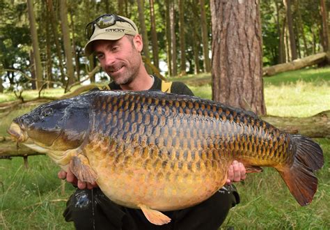 Huge park lake common carp is a regional record for North West