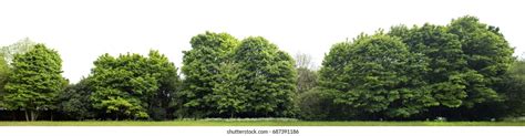 View High Definition Treeline Isolated On Stock Photo 687391186 | Shutterstock