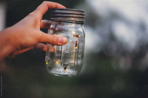 "Fireflies In A Jar" by Stocksy Contributor "ALICIA BOCK" - Stocksy