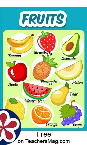 Fruits. Free Food Group Posters | Food groups for kids, Group meals, Healthy food activities