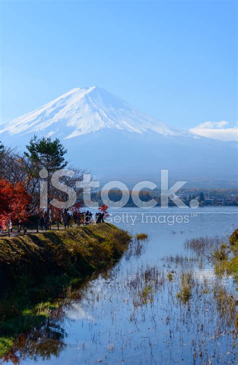 Mt.Fuji And Lake Kawaguchi In Autumn Stock Photo | Royalty-Free ...