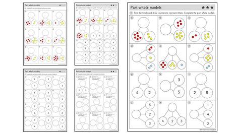 White Rose Part Whole Model Blank Template EDITABLE (3 Sheets Extended ...