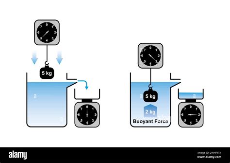 Archimedes' principle, illustration Stock Photo - Alamy