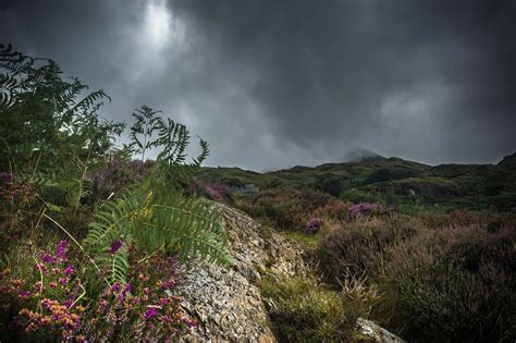 A few Welsh language words, phrases and facts | British Council