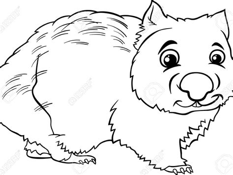 Wombat Drawing at GetDrawings | Free download