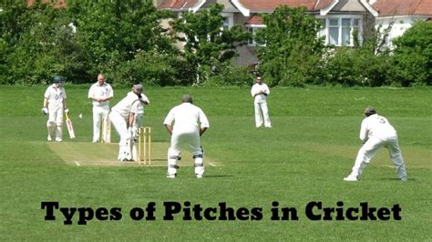 Types of Pitches in Cricket | CricketBio