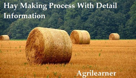 Hay Making Process With Detail Information - Agri Learner