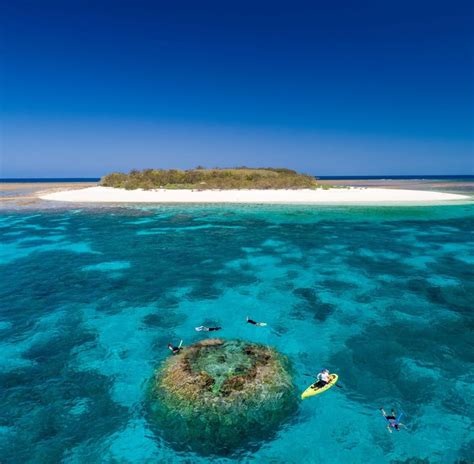 Aerial view of a coral reef near Heron Island Resort