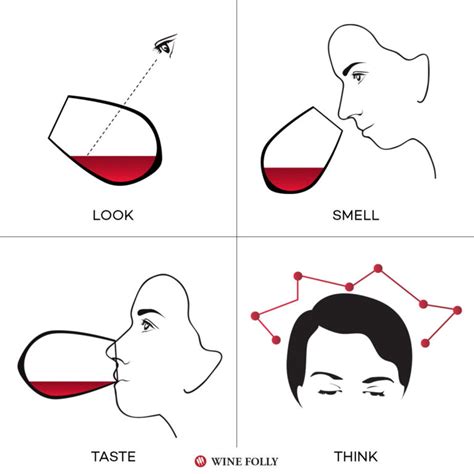 How to Taste Wine and Develop Your Palate | Wine Folly