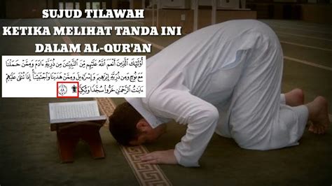 Panduan Ibadah = Sujud Tilawah Saat membaca Al Quran ada tanda Sajdah - YouTube