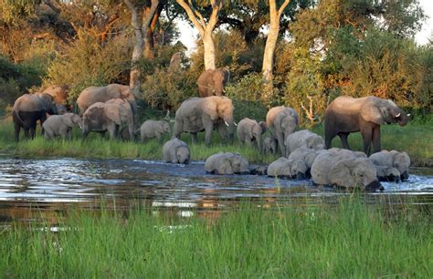 Namibia: wildlife photographer’s paradise | CNN