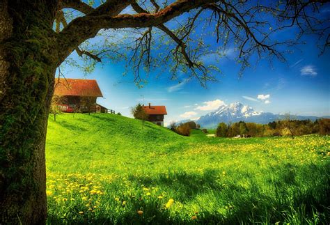 Spring Meadow Wallpapers - Wallpaper Cave