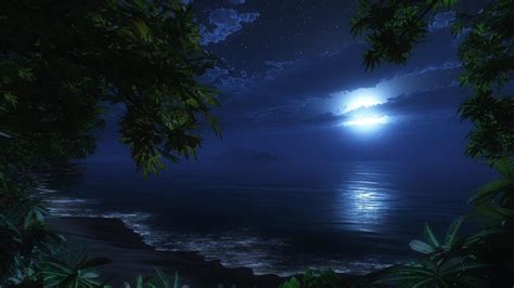 Moonlit Beach HD desktop wallpaper : Widescreen : High Definition : Fullscreen