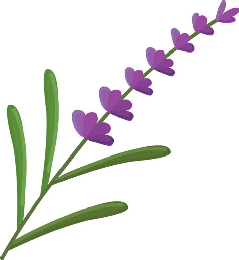 Lavender Plant Clip Art