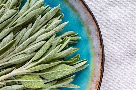 Premium Photo | Green sage sage leaves on a blue porcelain plate top view macro fresh natural ...
