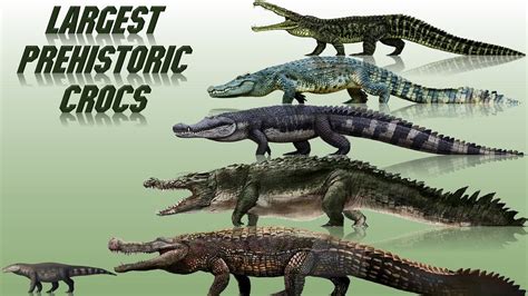 Giant Prehistoric Crocodile