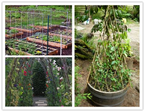 Creative DIY Garden Pea Trellis | How To Instructions