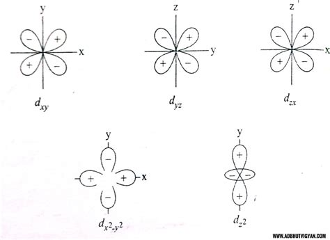 Draw the shape of dz² orbital - Brainly.in