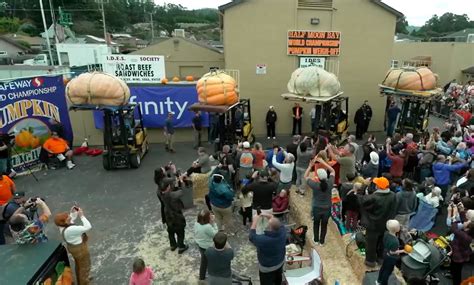 Watch: 2,749-Pound Pumpkin Wins Half Moon Bay Pumpkin Festival Contest, Sets New World Record