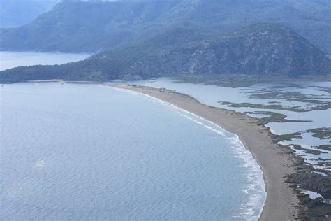 Caretta caretta nests on Turkey's Iztuzu Beach rise to 200 | Daily Sabah